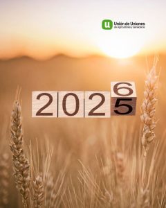 BALANCE DEL AÑO 25-26