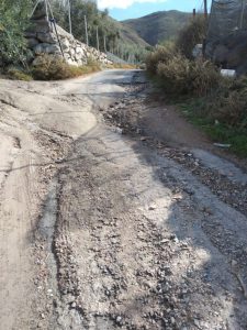 Caña de Beneji2