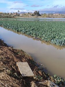 Junta invierte en Almería casi 16,5 millones
