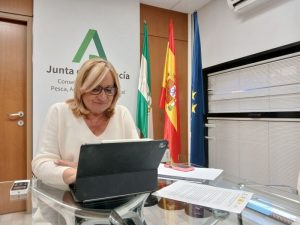Mesa de Interlocución Agraria telemática_viceconsejera