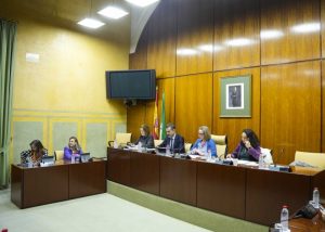 RFPM comisión mesa