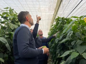 contratación de seguros agrarios