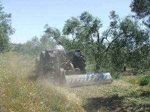 tractor Andalucía