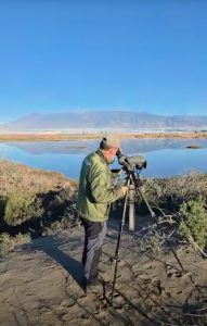 Almería mantiene la población más importante de águila perdicera  1