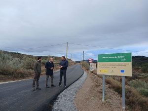 Camino del Collado en Tíjola III