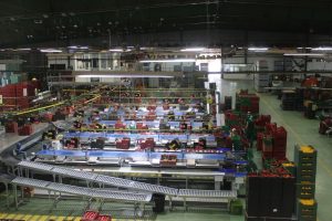 Manipulación hortofrutícola (9) fábrica procesamiento panorámica