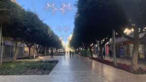 PASEO ALMERÍA REFORMA