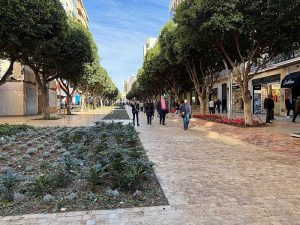 Paseo de Almería (3)