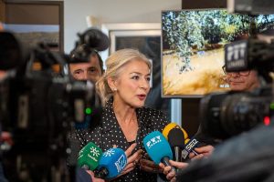 Patricia del Pozo Proyectos ARQ