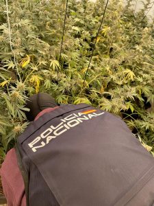 Policia Nacional Ejido CONTRA NARCOTRÁFICO PLAN GIBRALTAR
