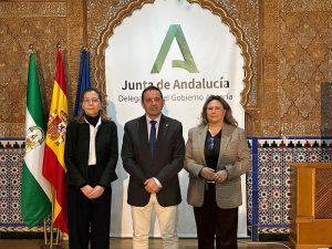 alegaciones 2