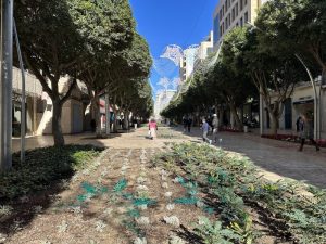 parterres Paseo