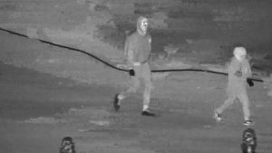 Cuevas del Almanzora robo en el interior de vivienda en Cuevas de Almanzora  1