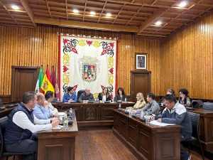Huércal-Overa Consejo Local Inmigración  (15)