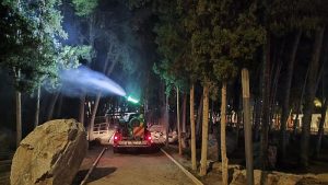 Huercal Overa Fumigación Procesionaria  (10)