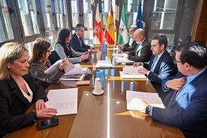 REUNIÓN DIPUTACIÓN (14)