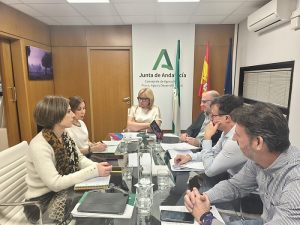 Ayudas al campo andaluz por las borrascas mesas opas y sindicatos viceconsejera