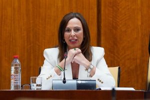Comisión Fomento consejera de Fomento, Articulación del Territorio y Vivienda, Rocío Díaz
