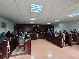 Pleno celebrado esta mañana en Vícar
