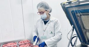 veterinarios de Salud Pública