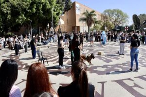 3 UAL 22 ABRIL 2026 FERIA AULA