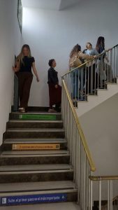 Bola Azul Escaleras Saludables II