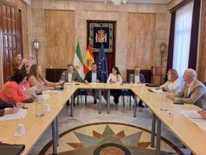 Comisión seguimiento PFEA
