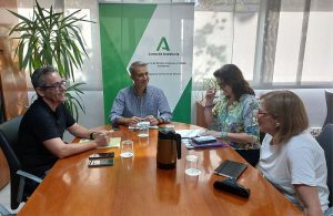 Convocatorias Ayudas Empleo