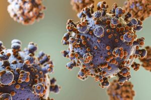 Antavirus