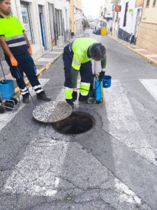 Dalías campaña desinsectación calless