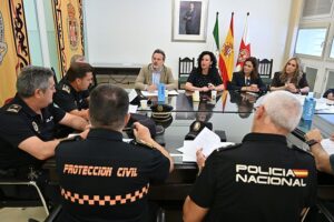Junta Local Seguridad Noche en Blanco