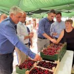 Ramón Fernández-Pacheco pone en valor la cereza de Bayárcal como producto saludable de proximidad  