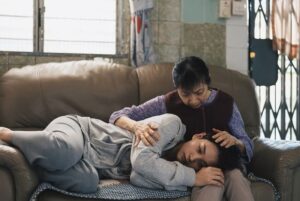 Cines del Sur teje una red global
