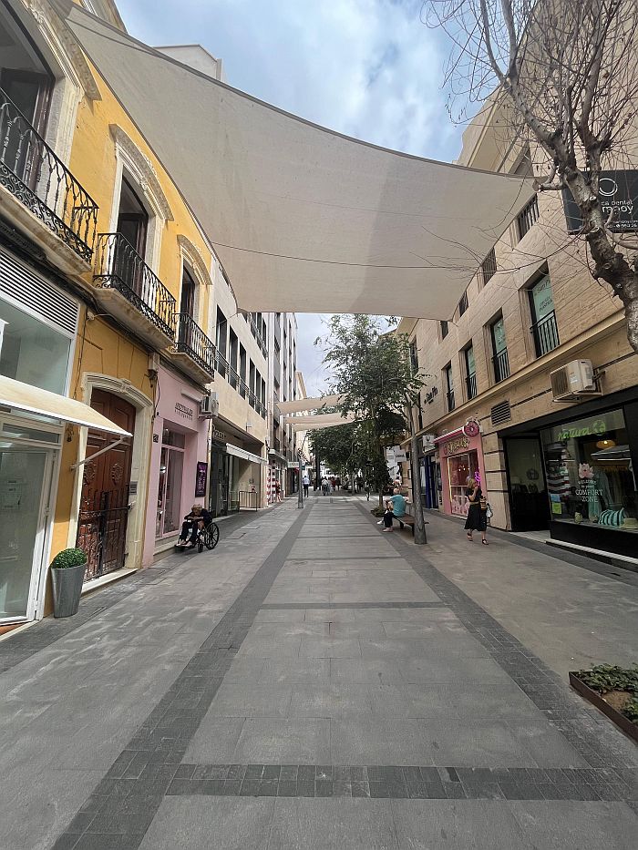 ENTOLDADO CALLE REYES CATÓLICOS