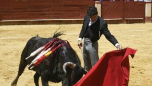 Fran Lupion torero