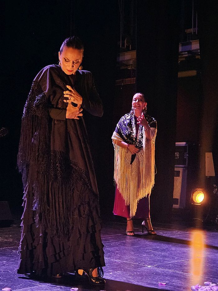 Igualdad-Flamenca y Libre (5)