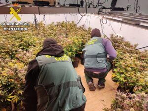 La Guardia Civil ejecuta un plan de intensificación de lucha contra el cultivo indoor de cannabis en Almería EDITADA1