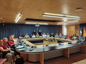 Nuevo sistema de valoración de la discapacidad I