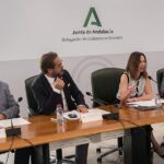 Las primeras concesiones de autobús renovadas de Andalucía entran en servicio en este mes de junio