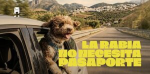 Vacuna la rabia perro