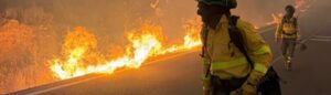 CSIF incendio Los Gallardos