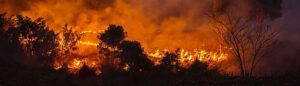 CSIF incendios