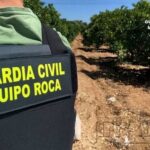 AGAMA Bajo Guadalquivir destaca que los robos en el campo andaluz han descendido más de un 18% en 2025