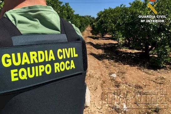 Guardia Civil Equipos ROCA