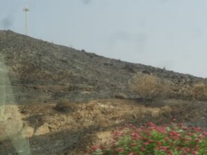 INCENDIO BEDAR