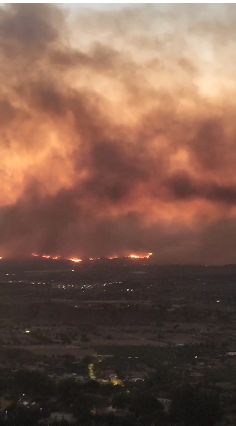 Incendio en Los Gallardos hacia Bedar- Foto CRISTINA GALLARDO