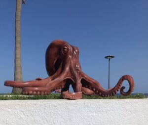 Garrucha pulpo monolito