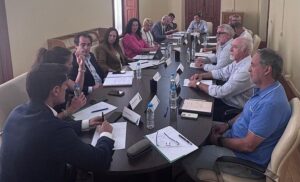 Mesa y Junta. Reunión