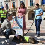 ‘AlmAnimal’ llena el centro de Almería de historias que buscan una segunda oportunidad