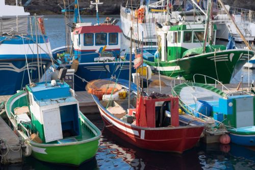 Ayudas pesca